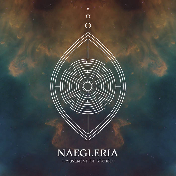 movementofstatic naegleria